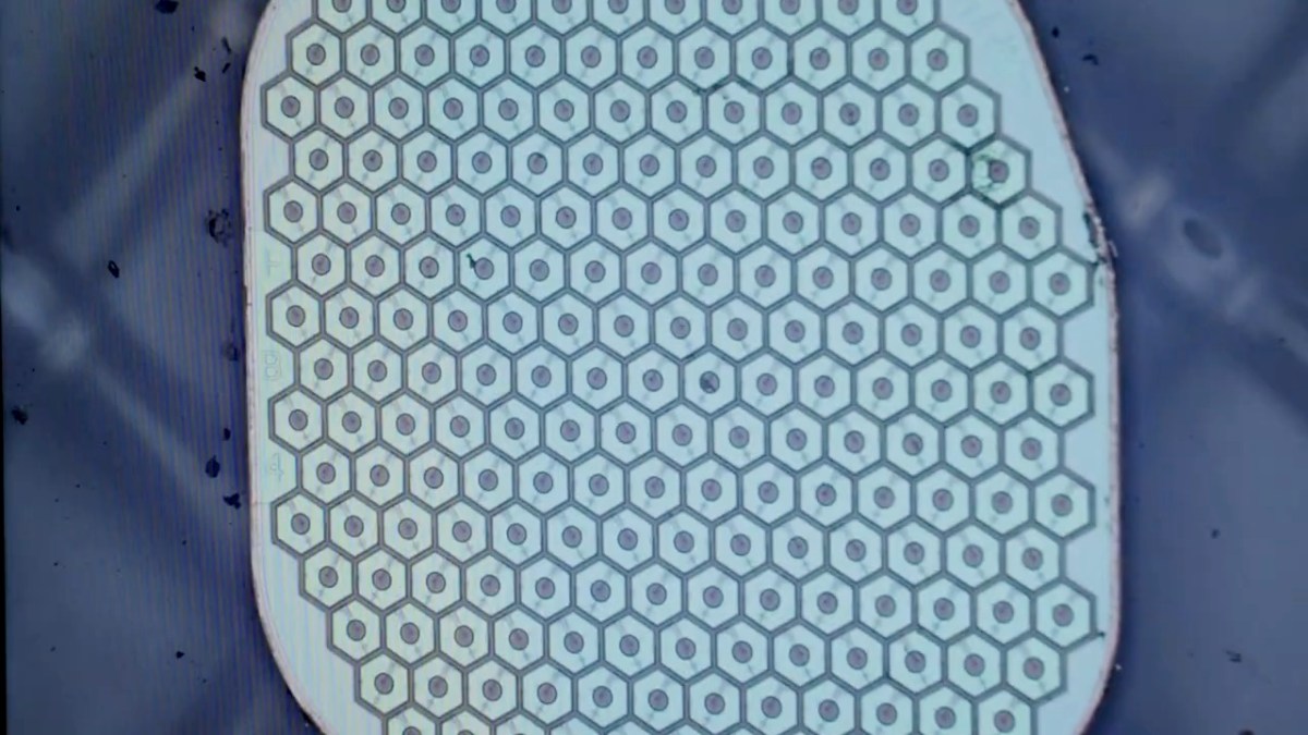 Max Hodak’s Science Corp. bereidt zich voor om zijn eerste sensor in een menselijk brein te plaatsen