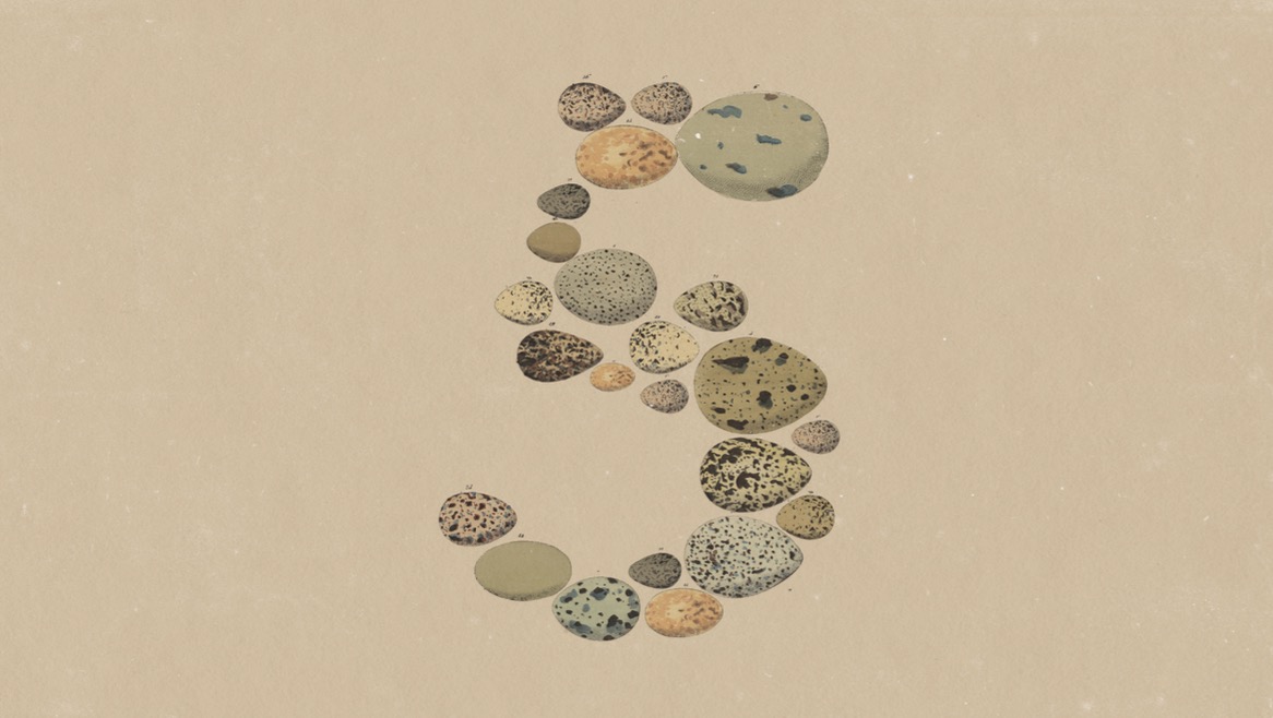 Anthropic lanceert Opus 5