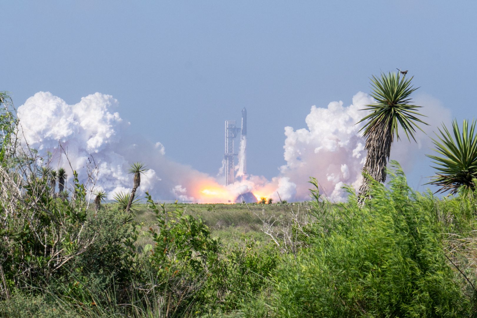 SpaceX streeft naar een recordintroductie van $75 miljard, omdat de risico's voor bitcoin-schatkisten en liquiditeit de aandacht trekken