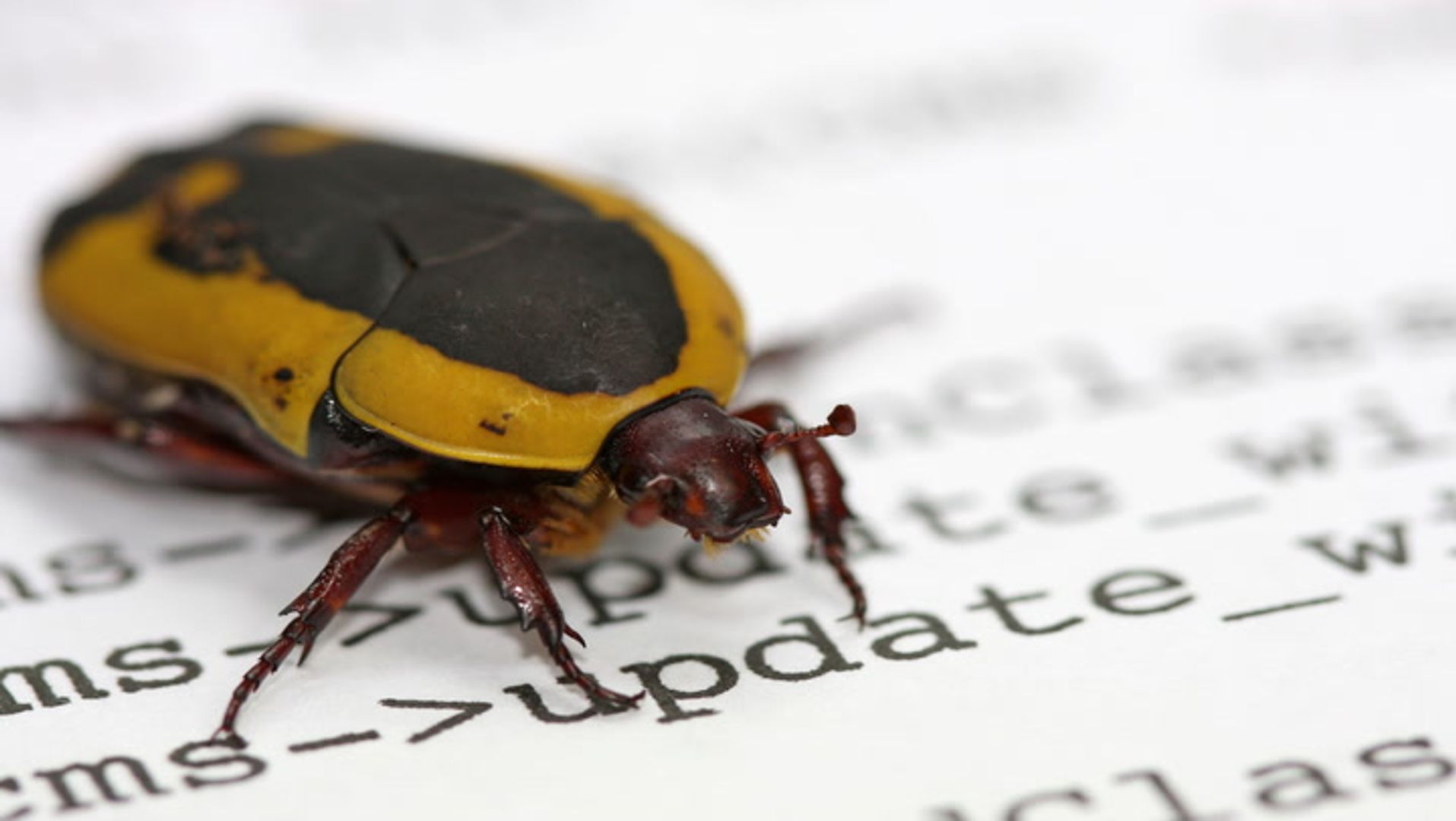 AI vond een Ethereum-bug die validators offline kon halen, maar mensen moesten het bewijzen