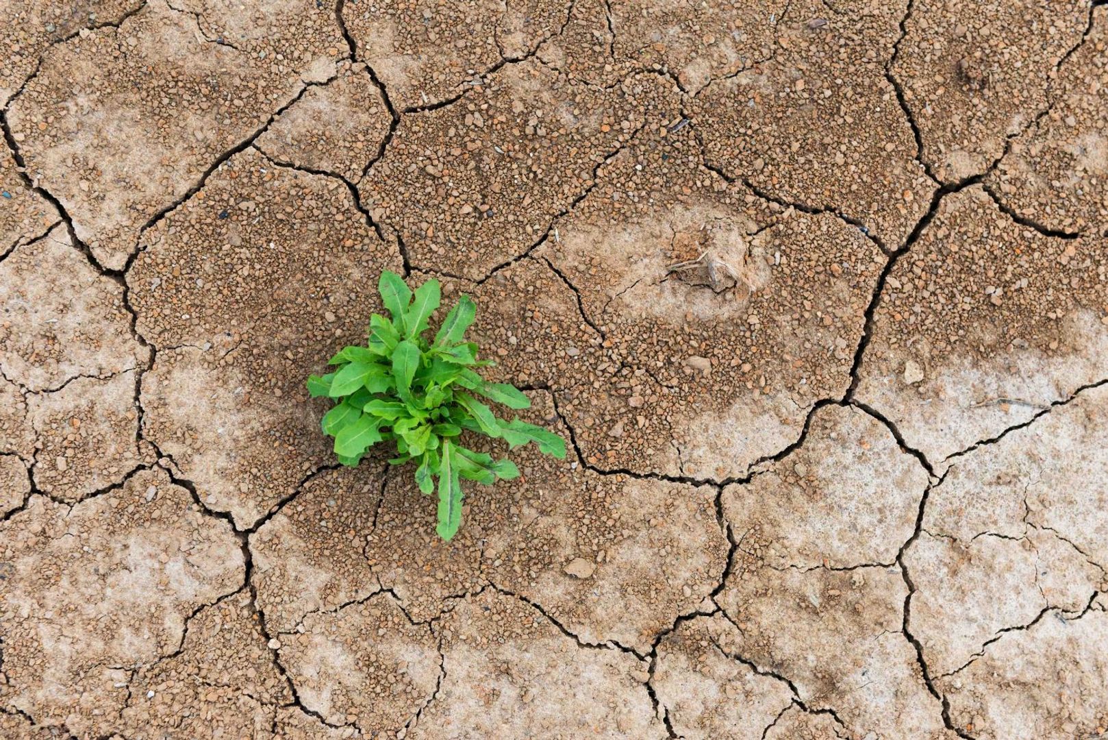 De shake-out van DeFi is een stresstest, geen doodvonnis