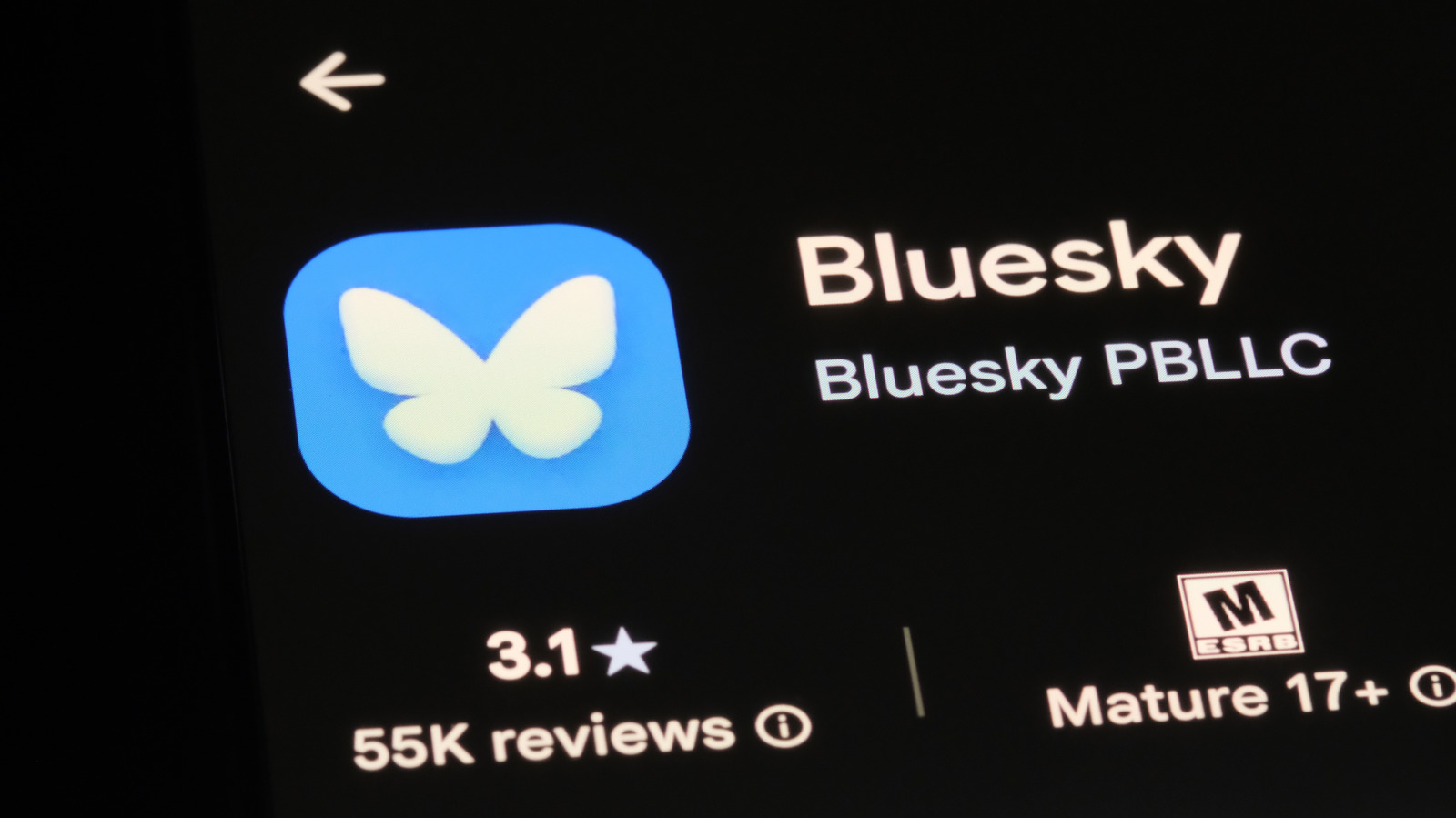 Bluesky heeft weer een officiële CEO