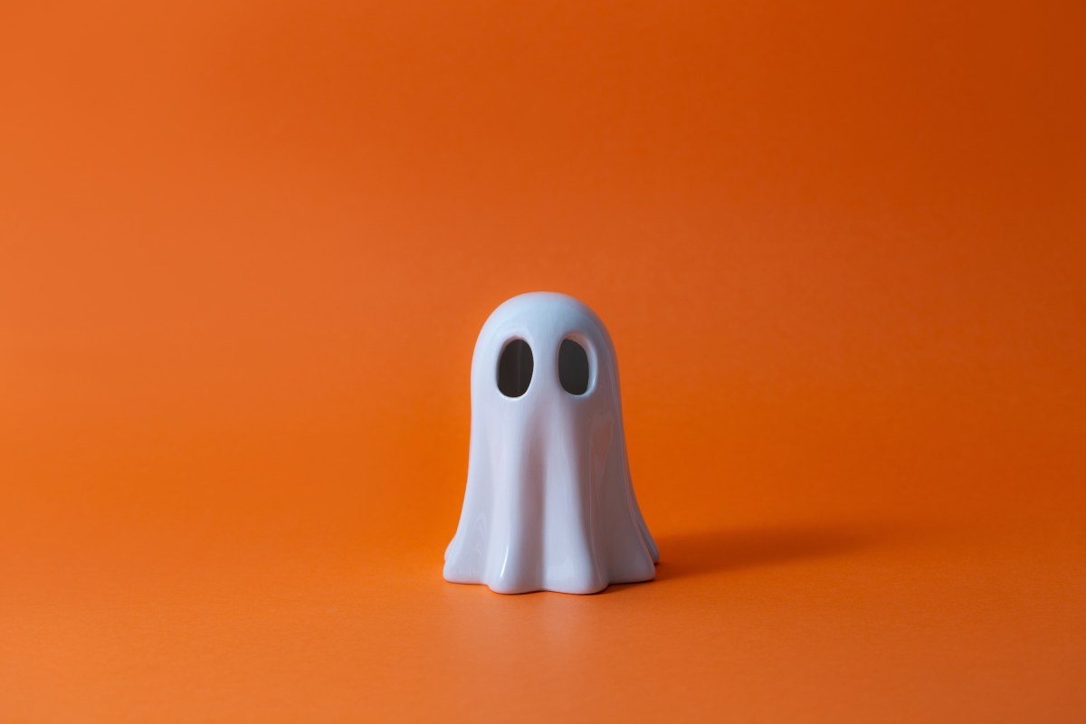 Snap-alumni onthullen Ghost Angels-fonds