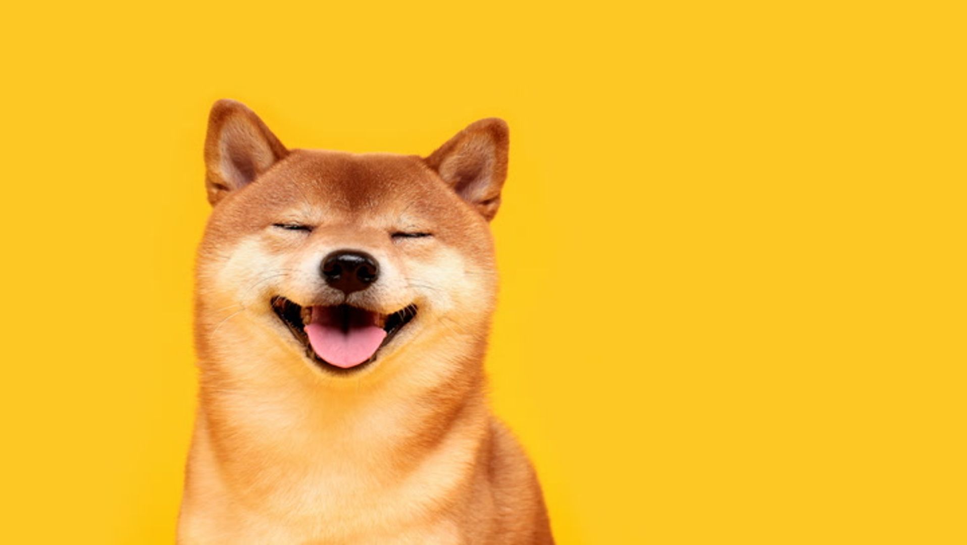 Memecoins dogecoin, shiba inu duiken 9% terwijl bitcoin de $60.000 nadert