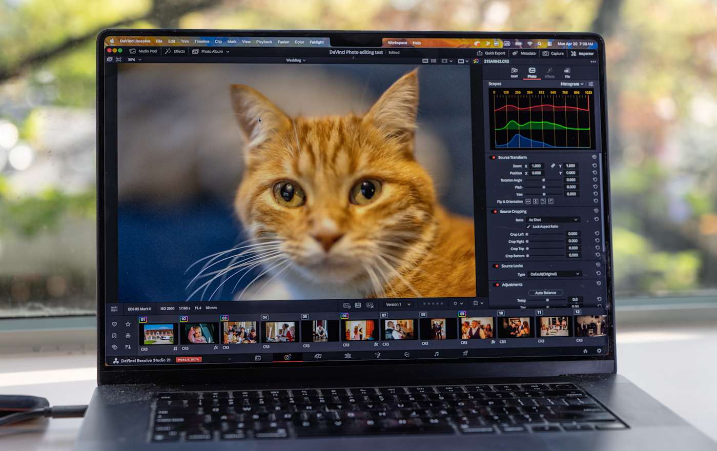DaVinci Resolve 21 hands-on: een haalbaar Lightroom-alternatief voor informele gebruikers