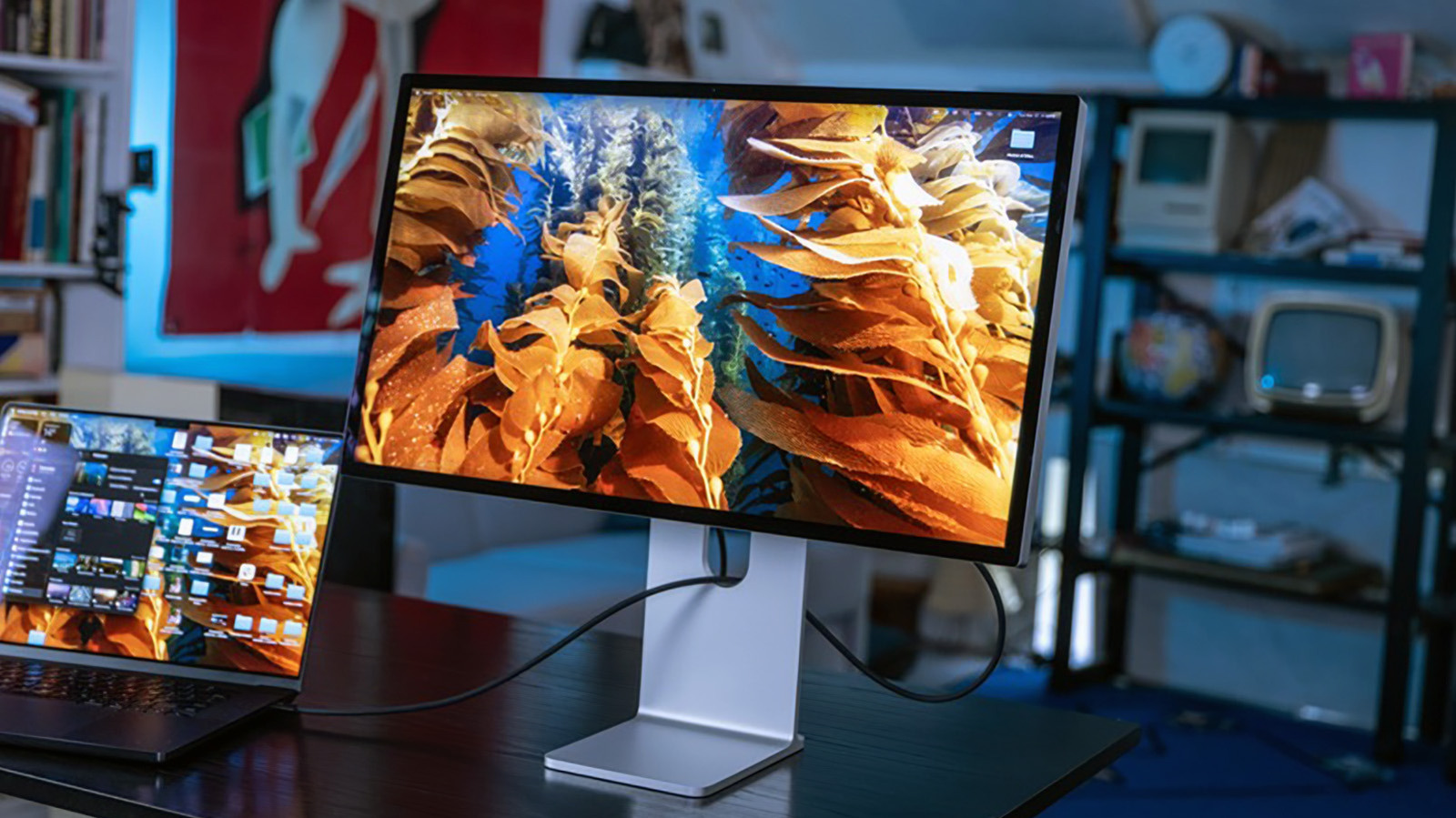 Kan een MacBook meerdere externe monitoren gebruiken? Het hangt ervan af