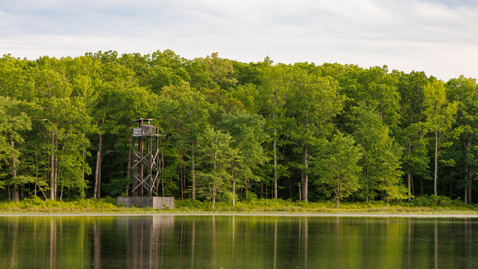 NASA draagt ​​het eigendom van het bos in Maryland over aan de Amerikaanse Fish and Wildlife Service