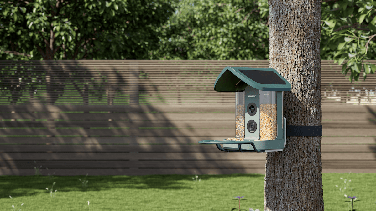 Kiwibit's AI-aangedreven vogelvoeder is mijn nieuwe achtertuinmaatje