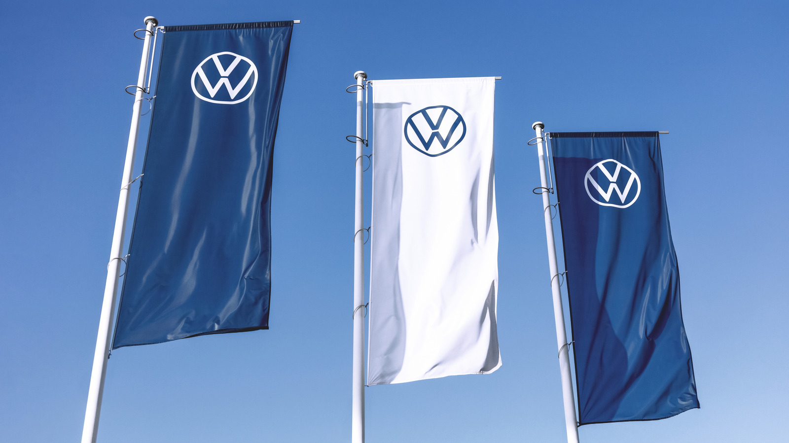 Volkswagen heeft 100 schapen in dienst op een zonneboerderij in Polen