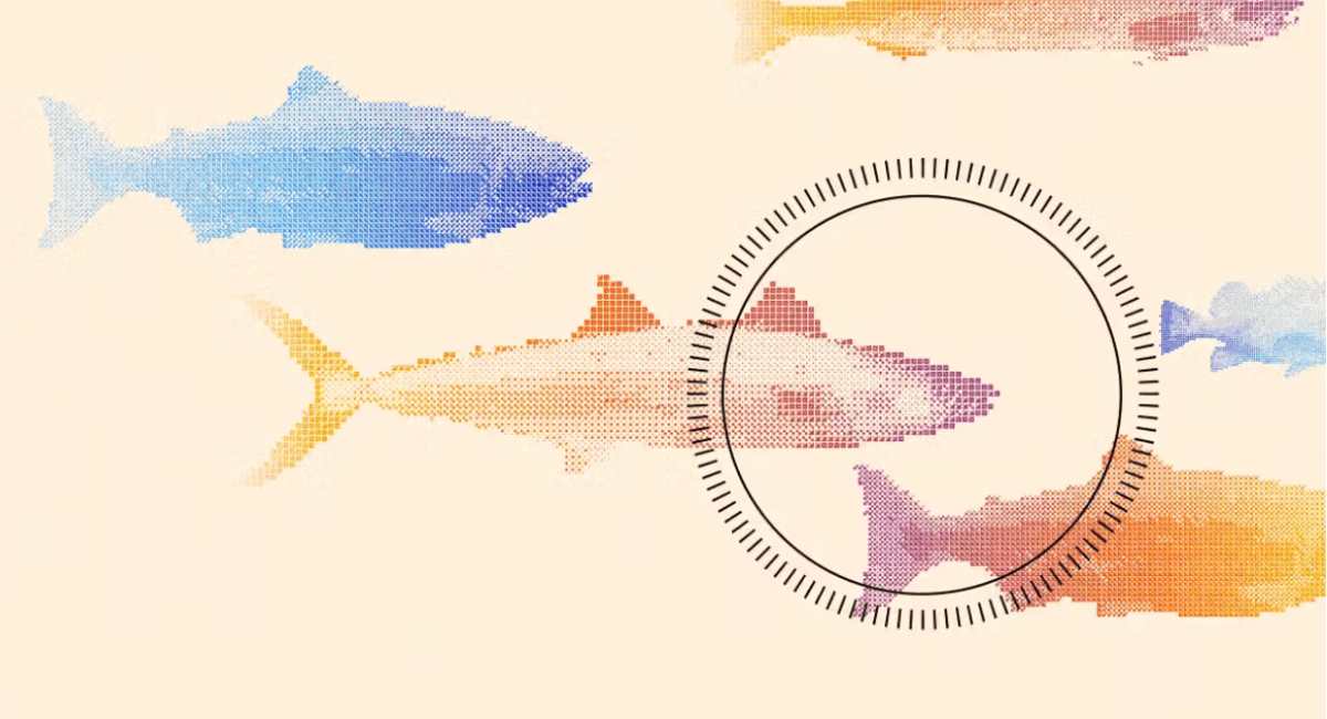 De uitschieter van het Founders Fund op humaan gedode vis