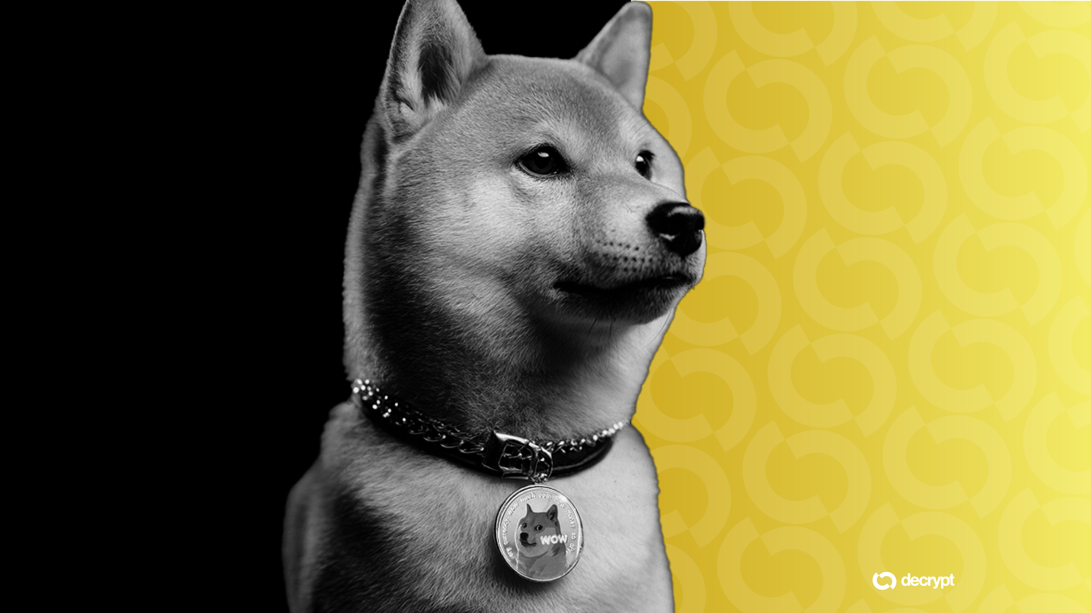 Dogecoin bereikt de hoogste waarde in 2 maanden nu het mijnbouwbedrijf DOGE van plan is om via een fusie naar de beurs te gaan