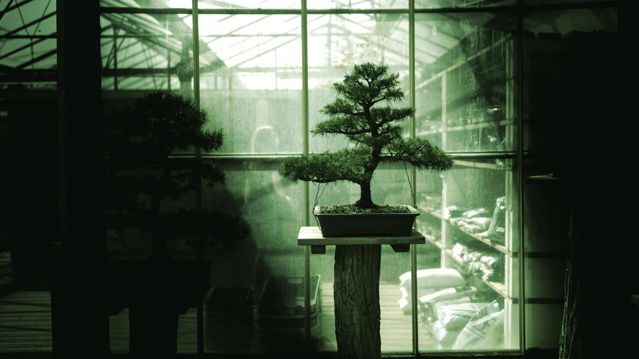Maak kennis met Bonsai: het eerste 27B AI-model dat op uw telefoon past
