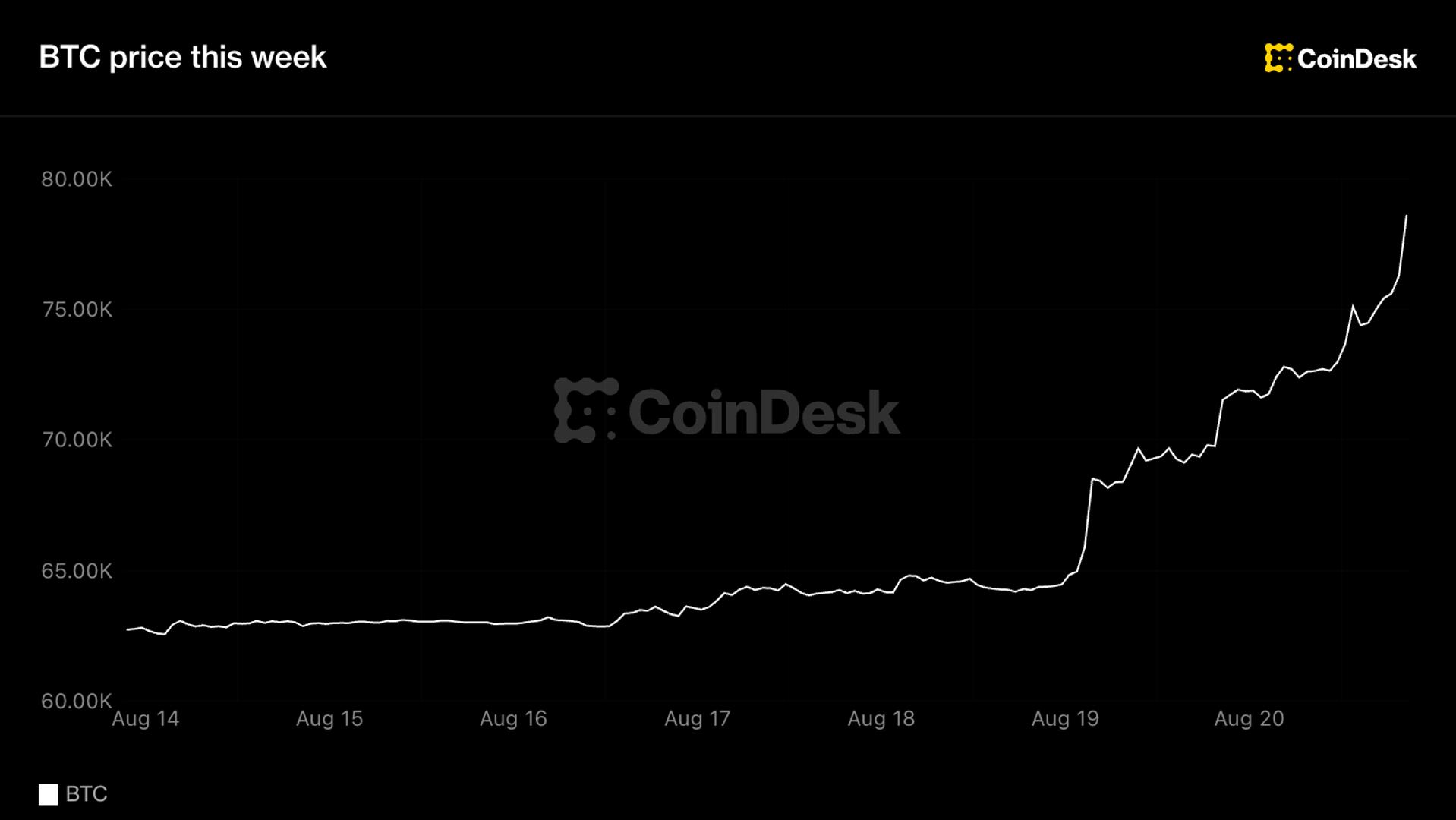 Bitcoin overtreft $77.000 als beste week sinds 2023 en trekt altcoins mee