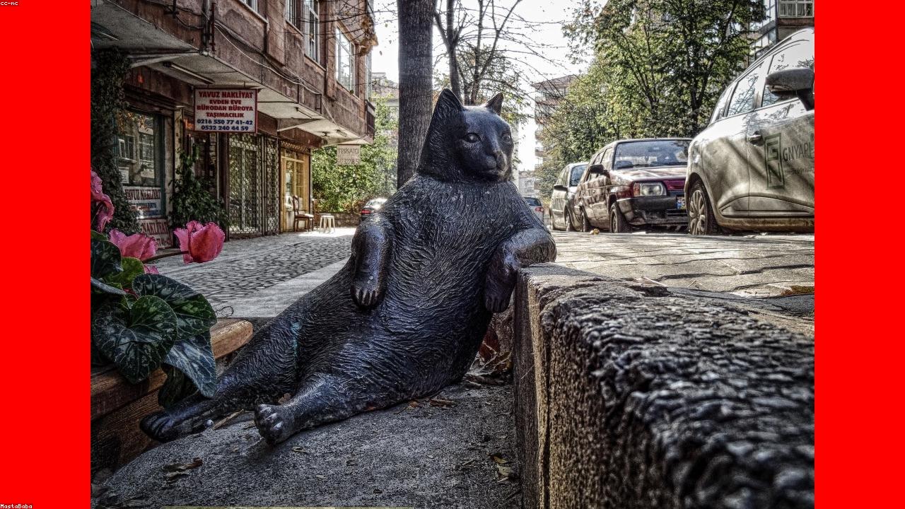 Australië legt de basis voor tokenized asset-markten na het RBA-project