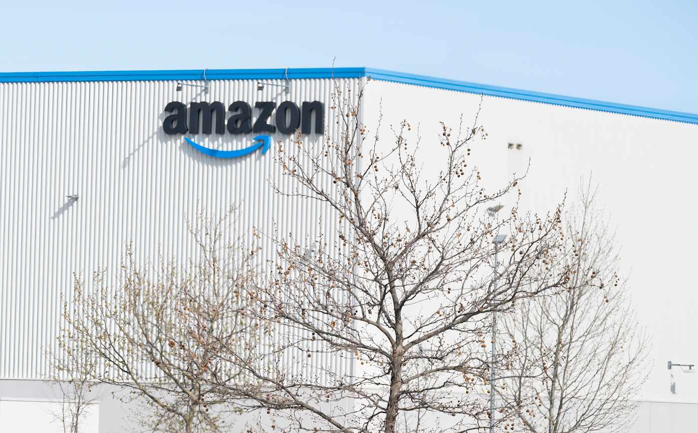 De Arbeidsraad van Trump zegt tegen Amazon dat hij moet onderhandelen met de Staten Island Warehouse Union